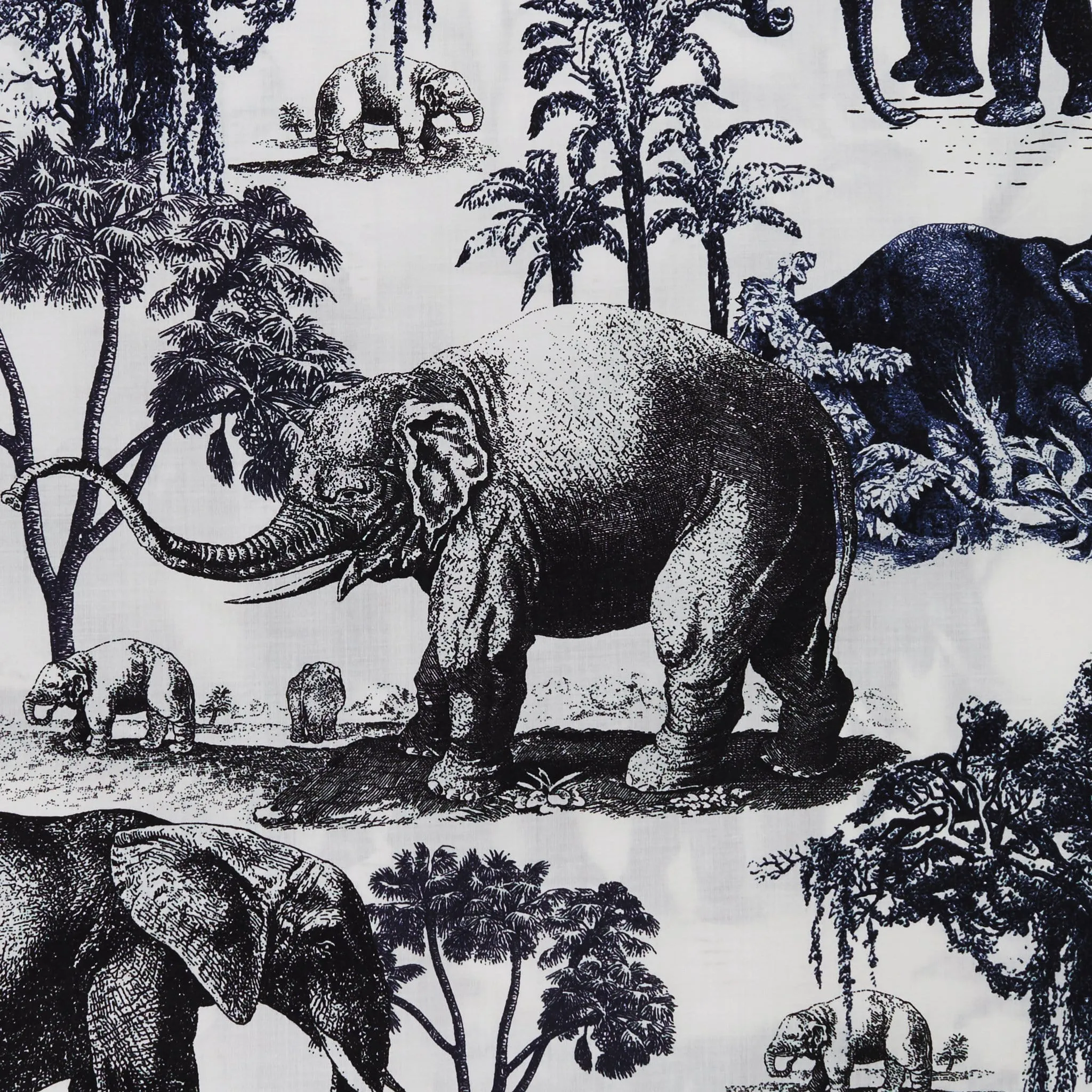 Safari Toile Luxe Pima Cotton Capri